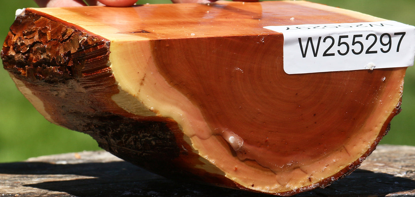 Oregon Ironwood Half Log