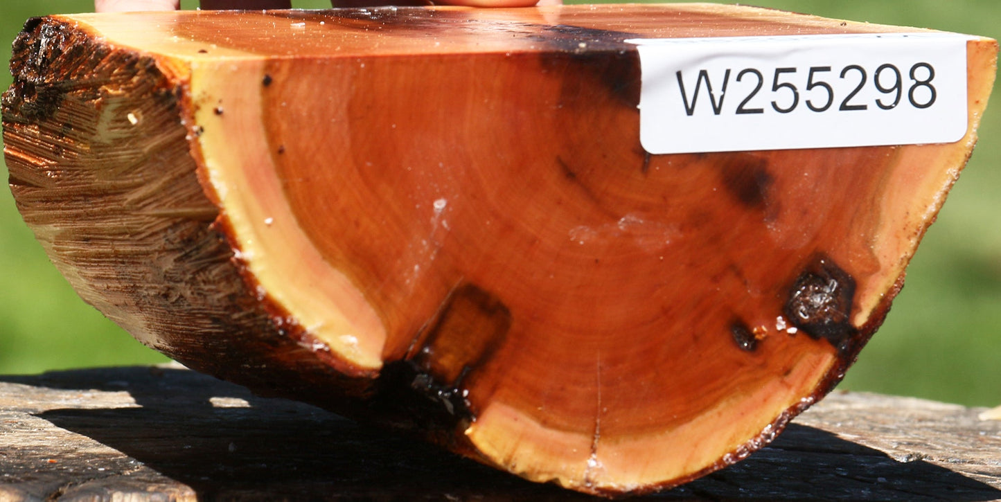 Oregon Ironwood Half Log