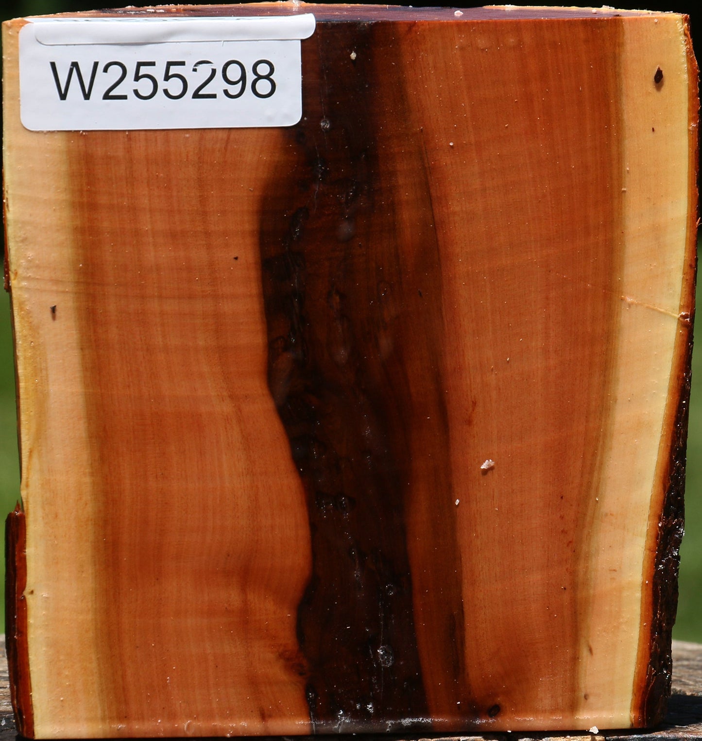 Oregon Ironwood Half Log