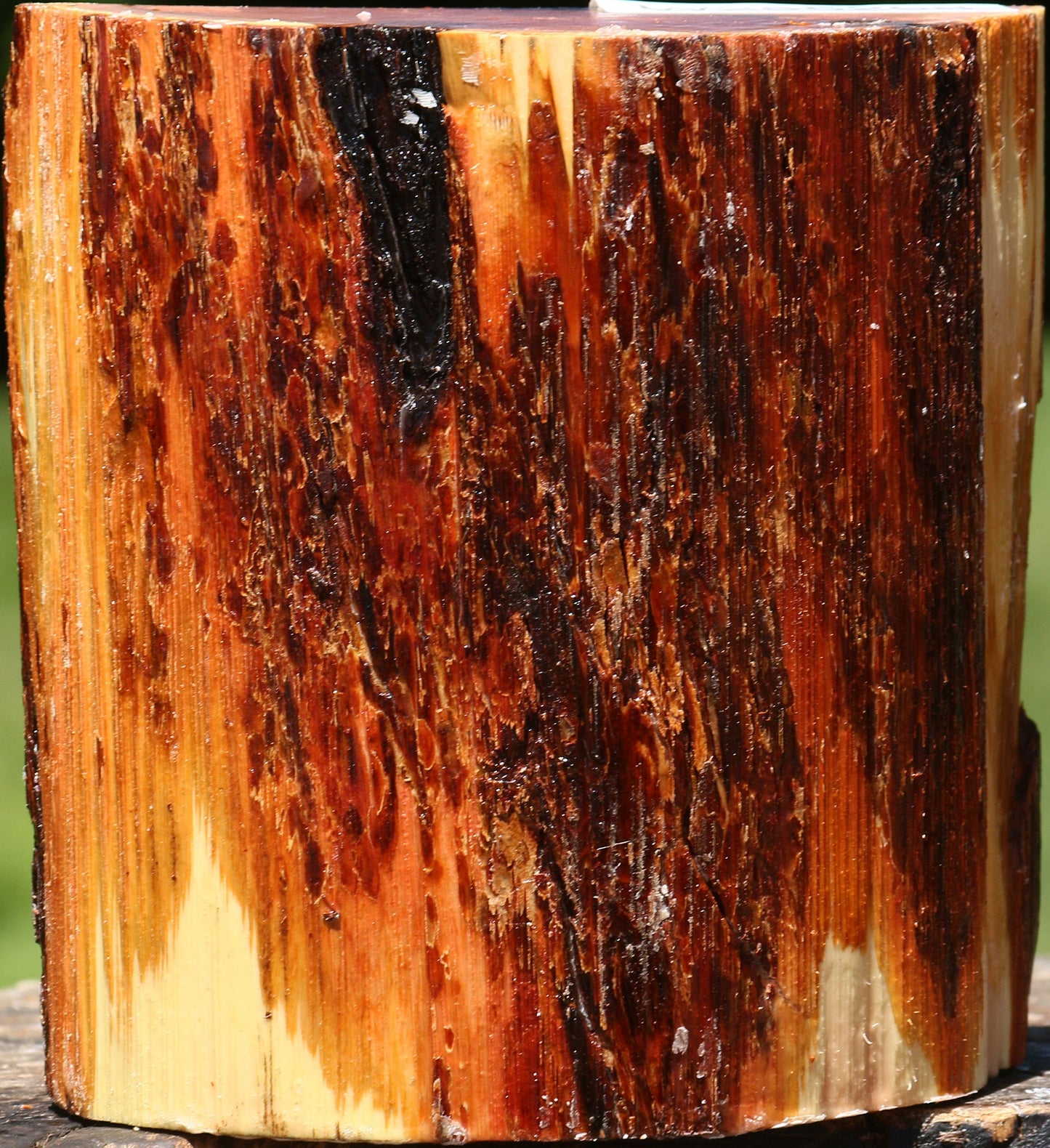 Oregon Ironwood Half Log