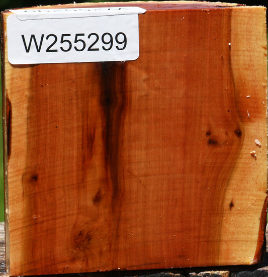 Oregon Ironwood Half Log