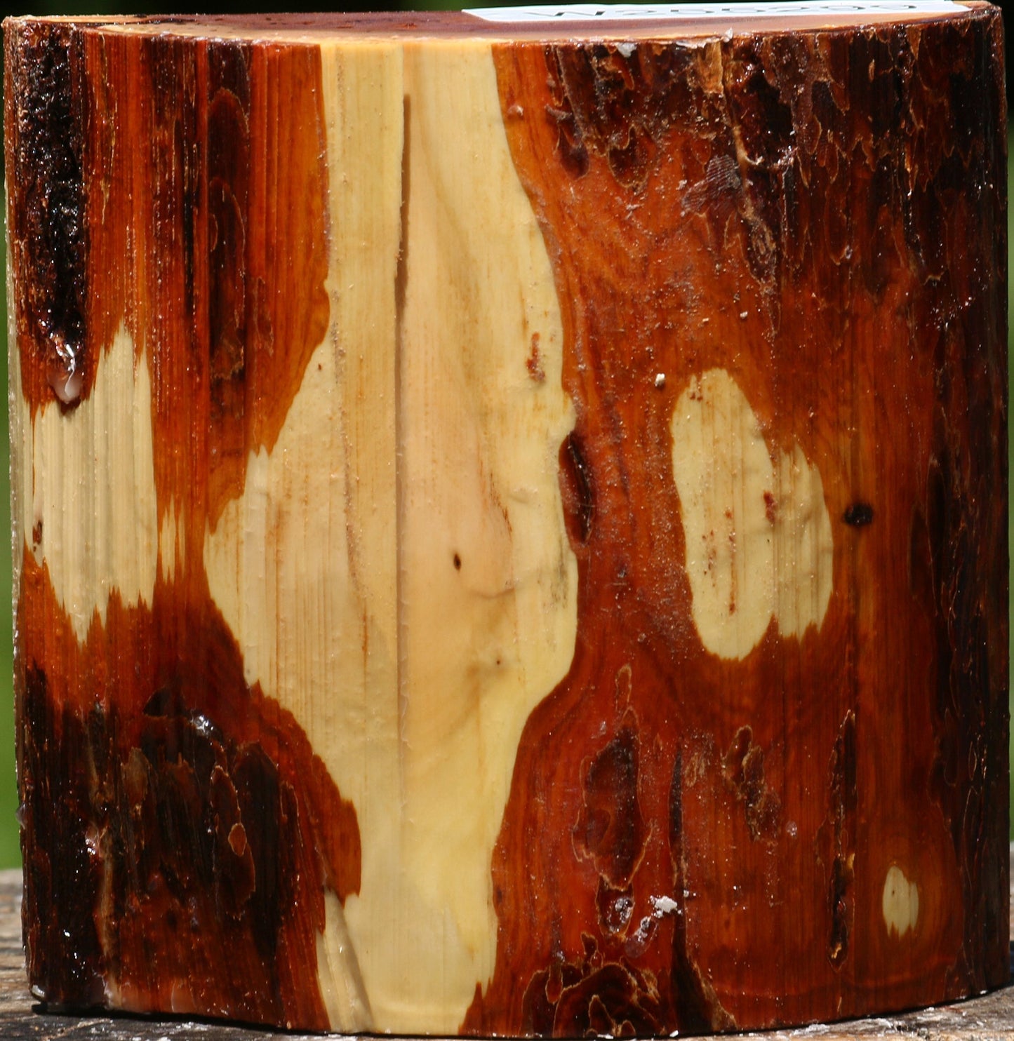 Oregon Ironwood Half Log