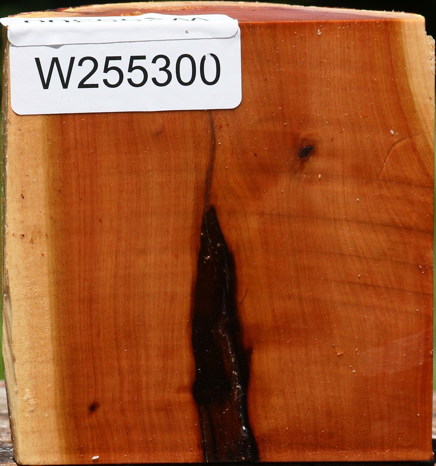Rustic Oregon Ironwood Half Log