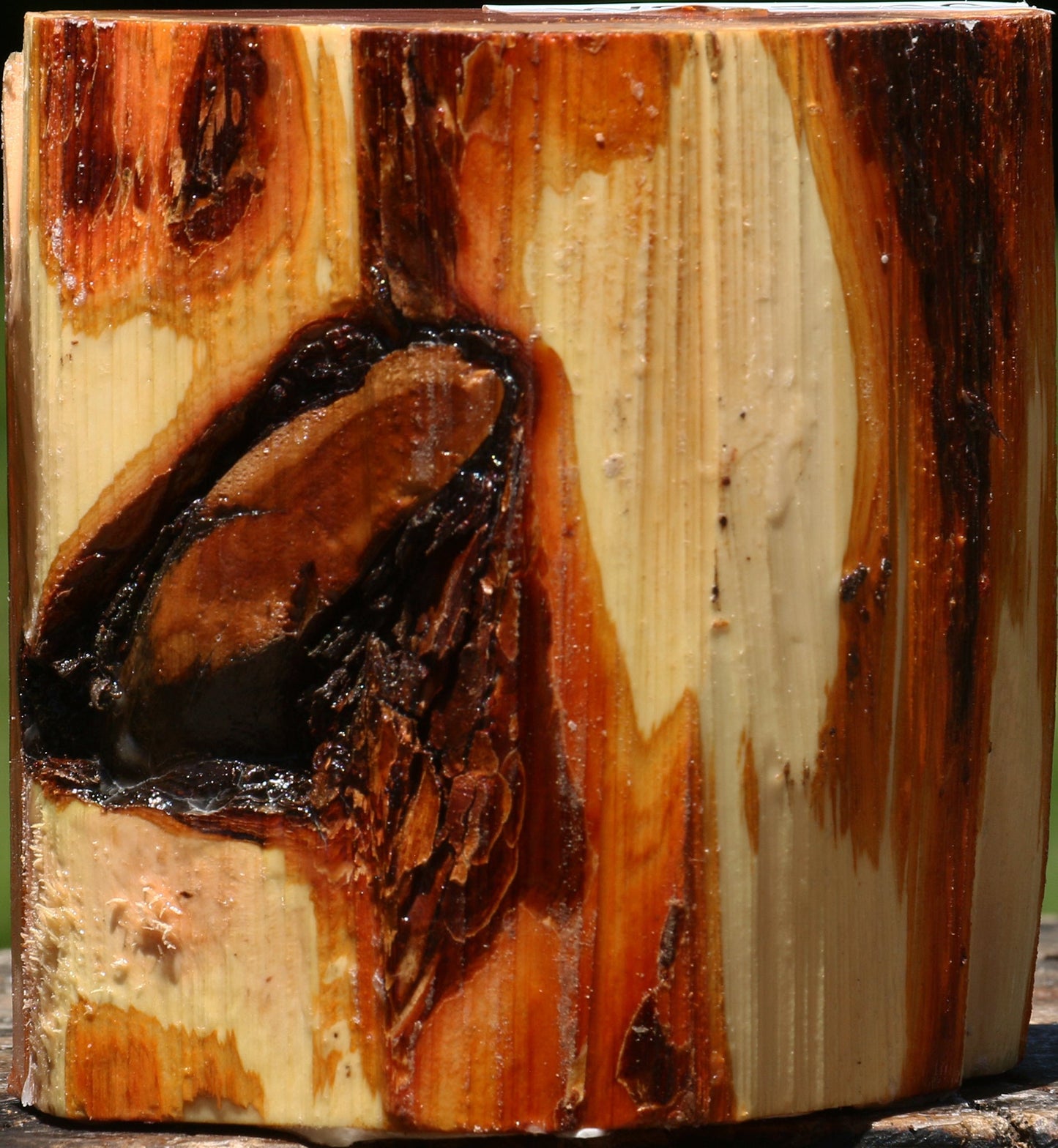 Rustic Oregon Ironwood Half Log