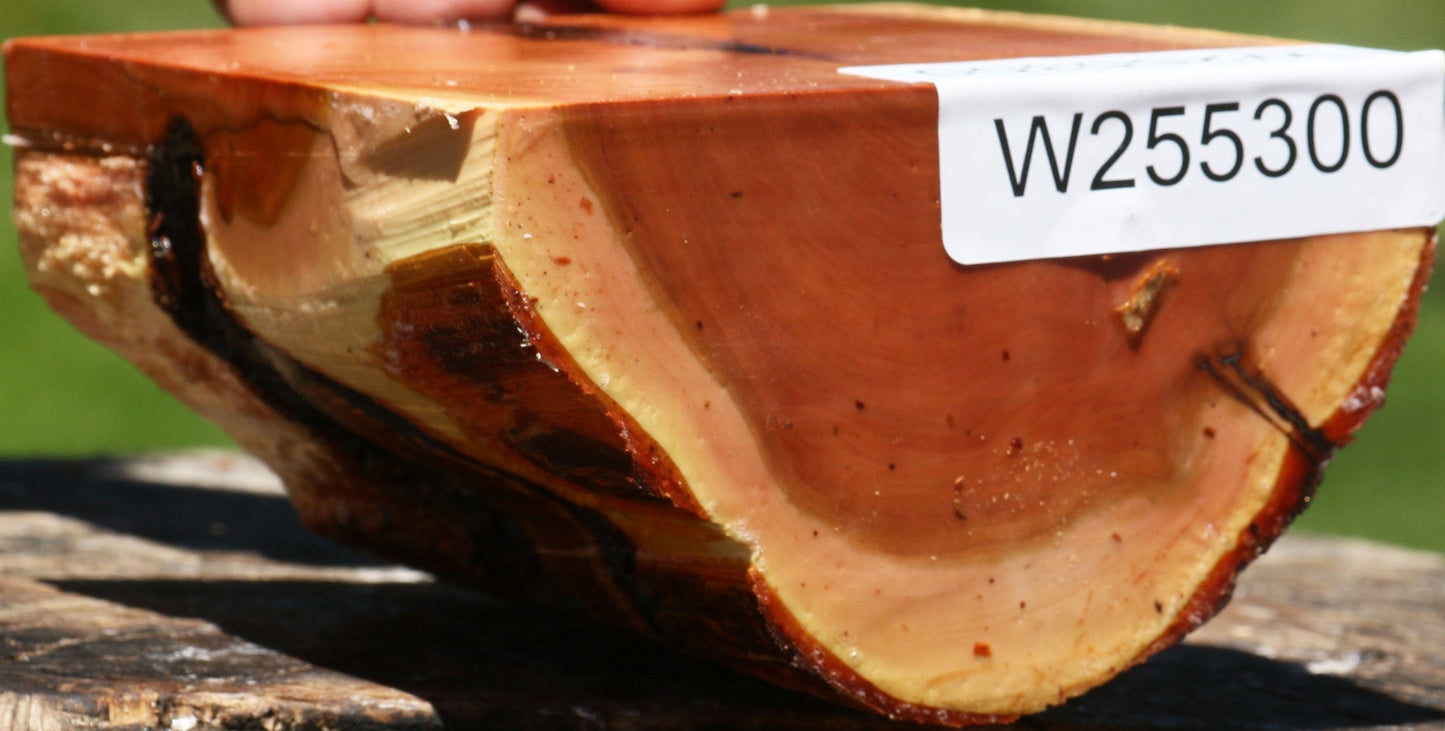 Rustic Oregon Ironwood Half Log