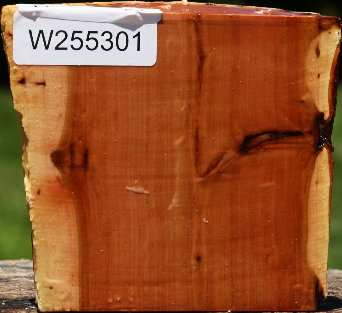 Oregon Ironwood Half Log