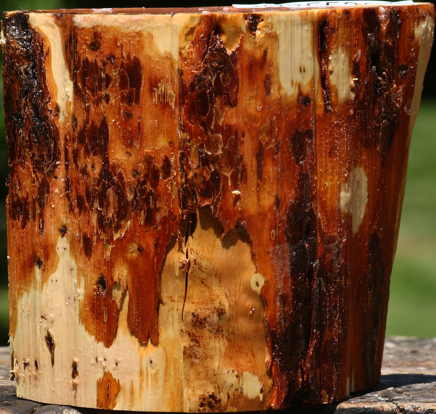 Oregon Ironwood Half Log
