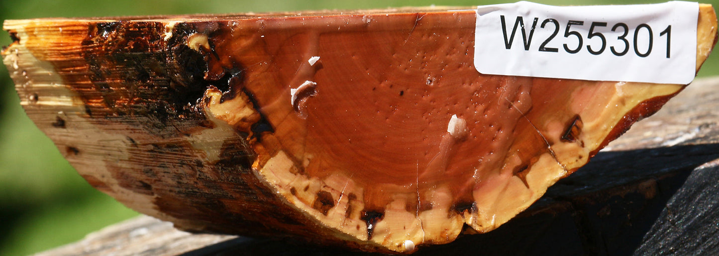 Oregon Ironwood Half Log