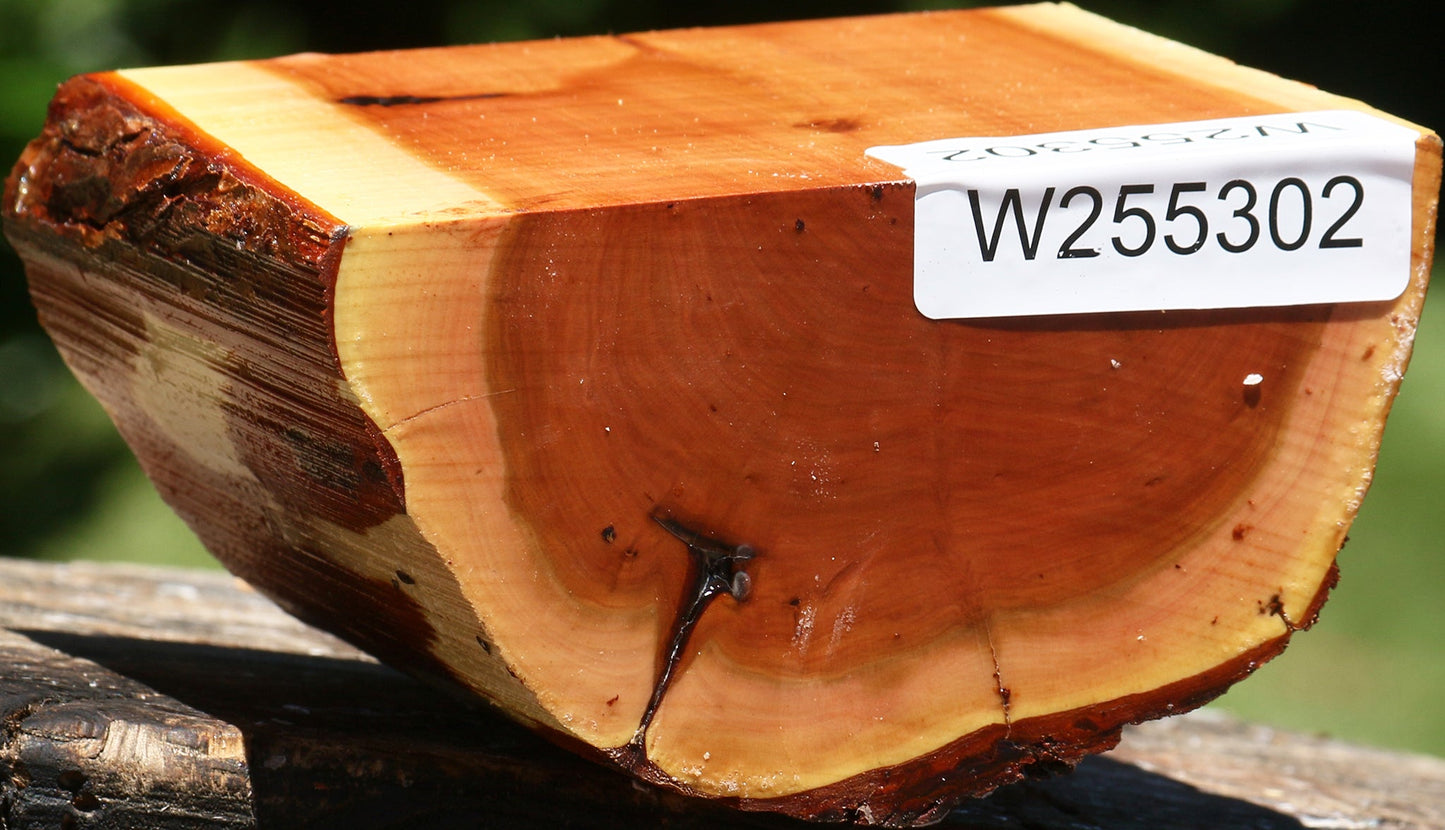 Oregon Ironwood Half Log