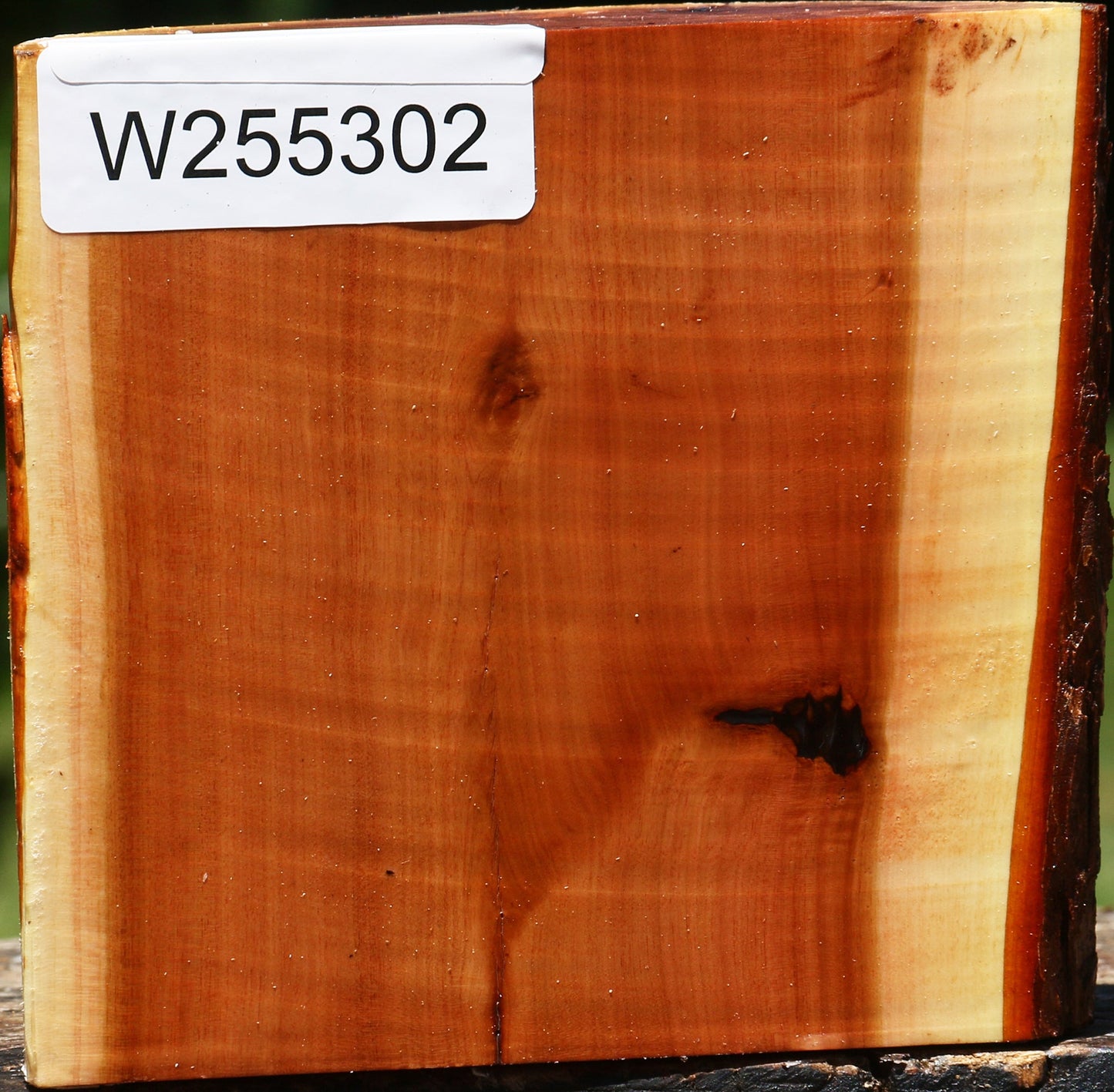 Oregon Ironwood Half Log
