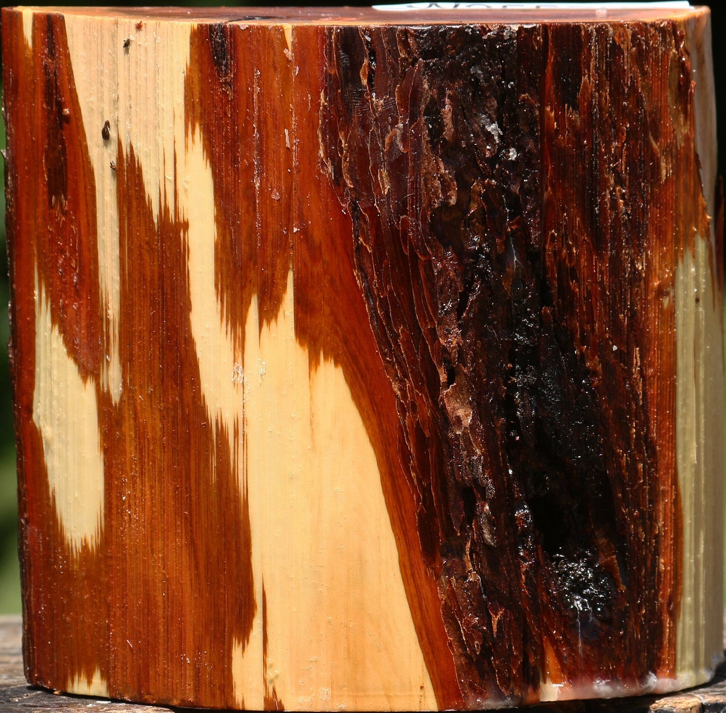 Oregon Ironwood Half Log