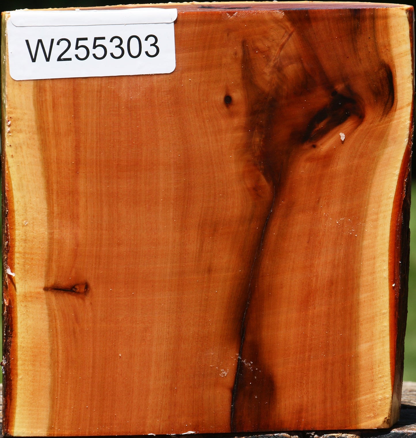 Oregon Ironwood Half Log