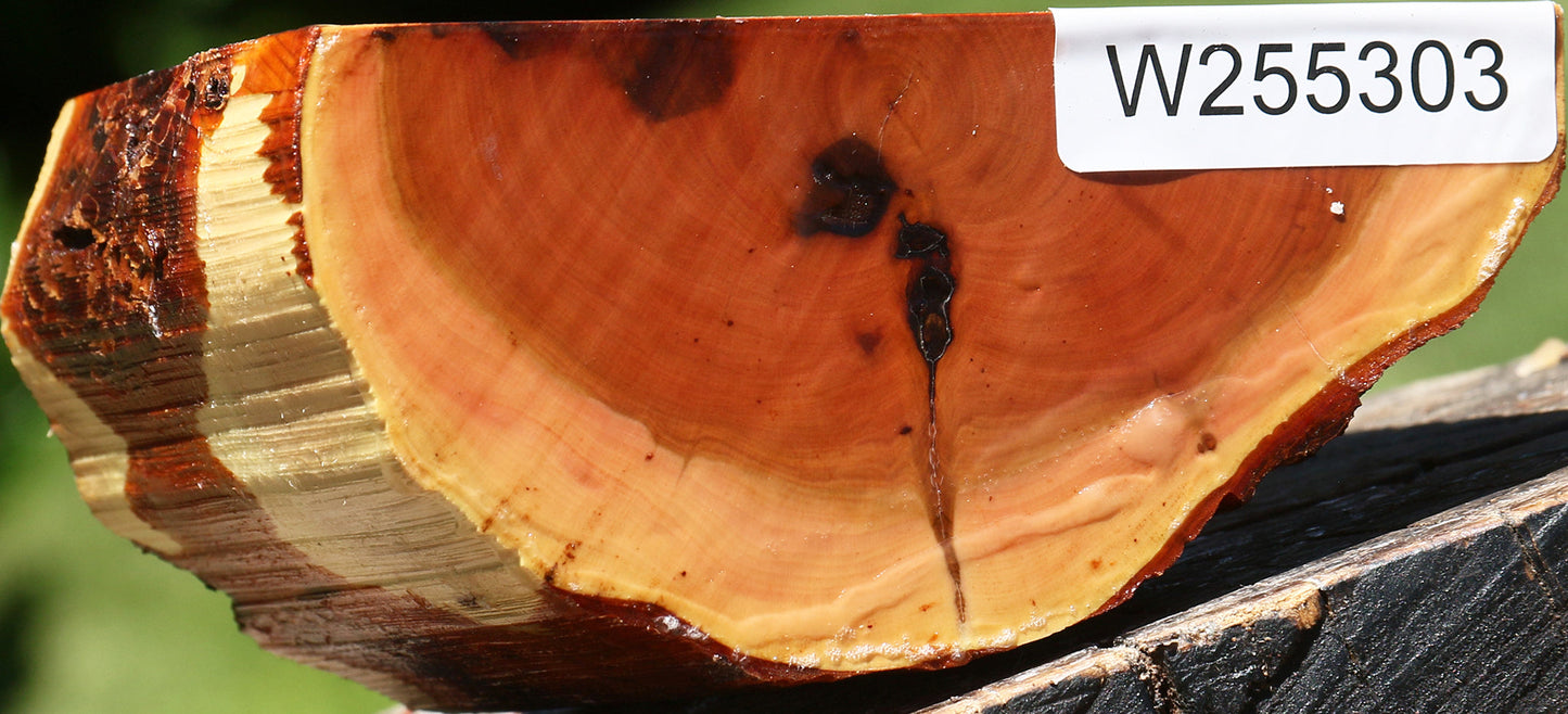 Oregon Ironwood Half Log