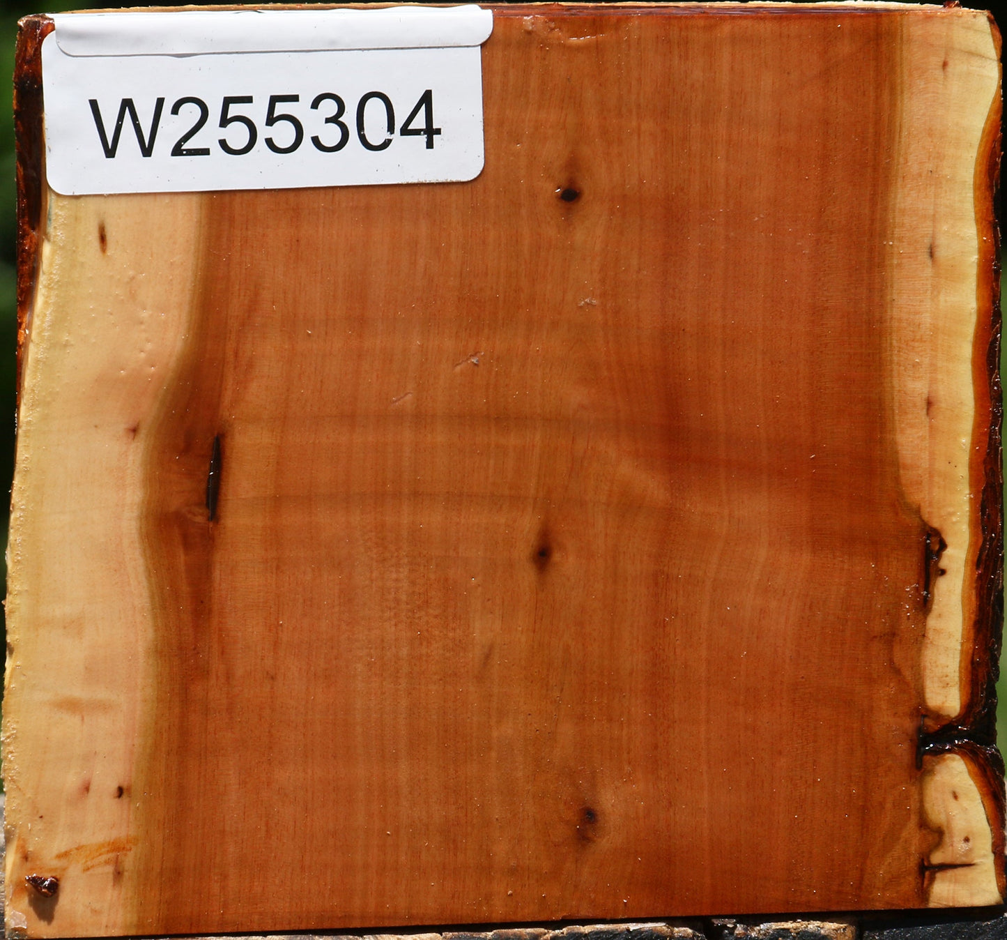 Oregon Ironwood Half Log