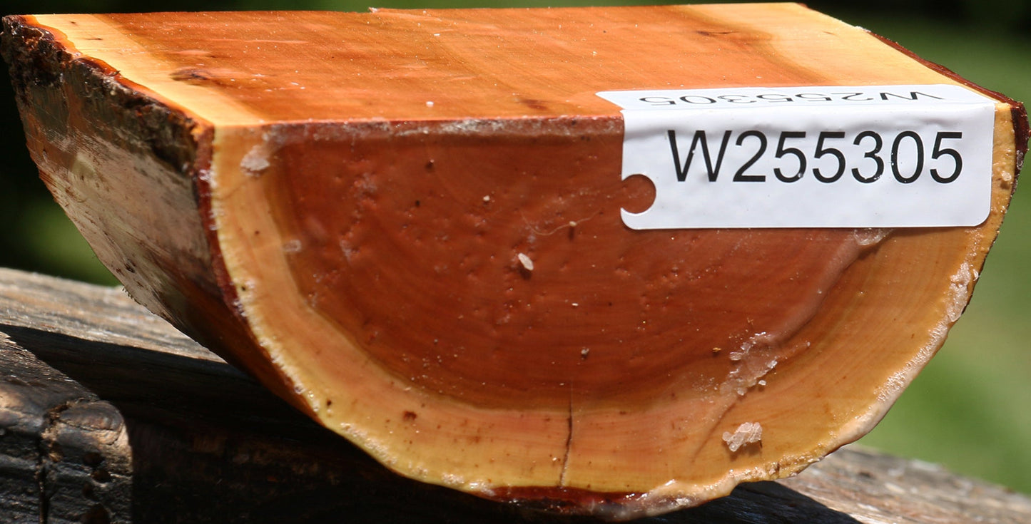 Oregon Ironwood Half Log