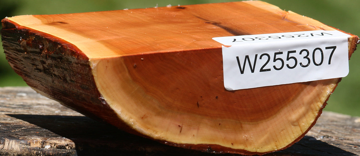 Oregon Ironwood Half Log