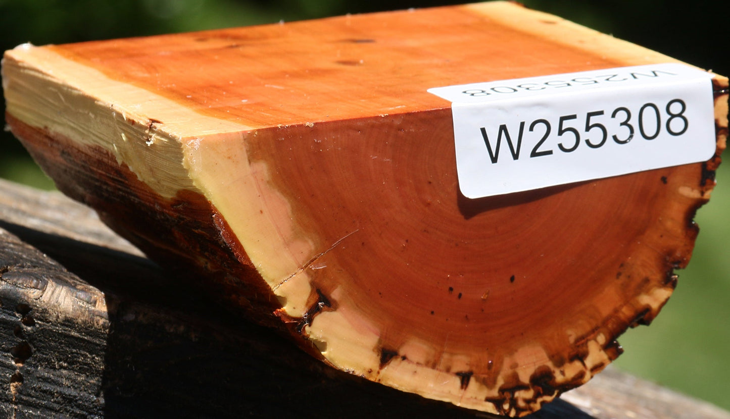Oregon Ironwood Half Log