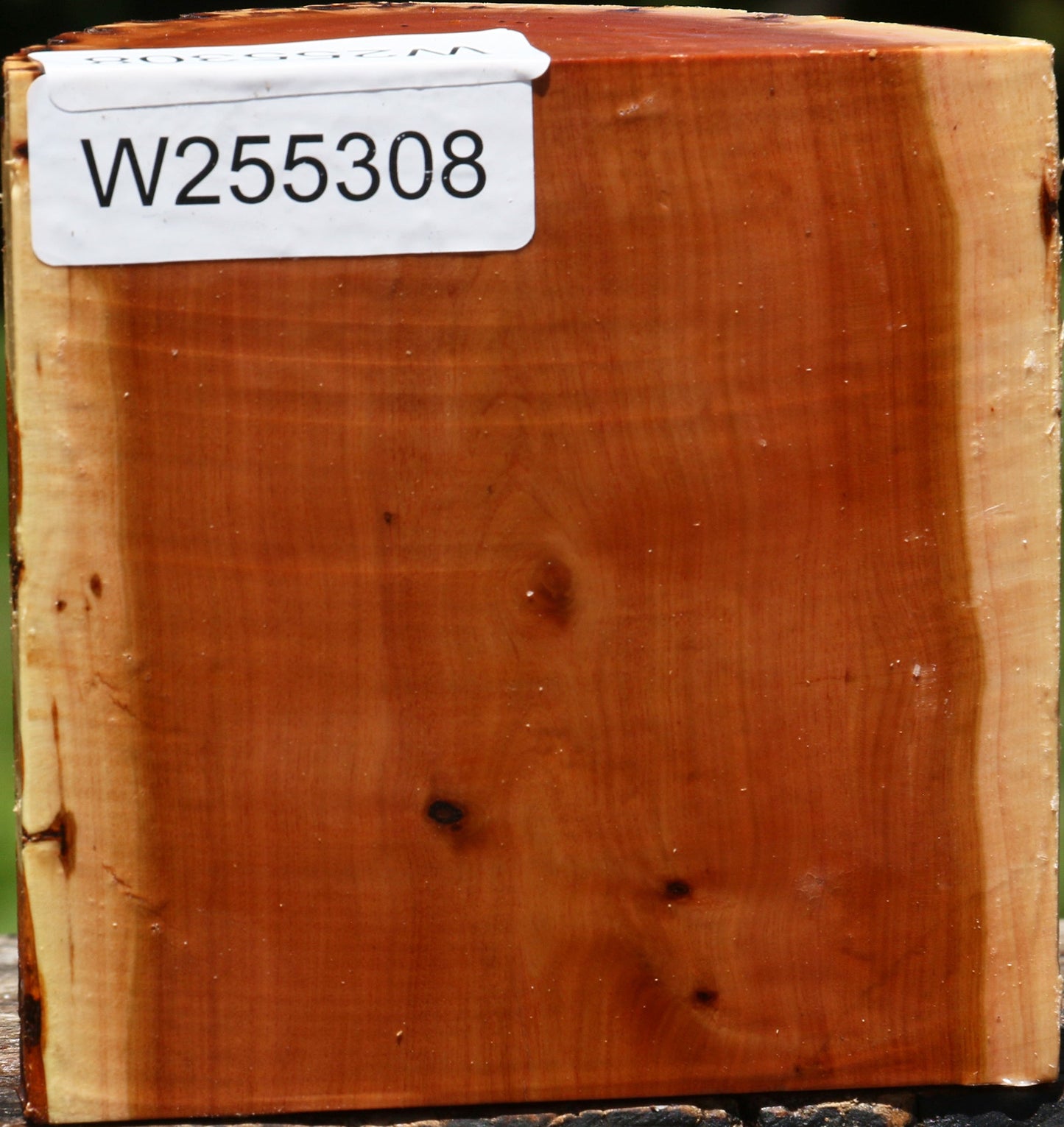 Oregon Ironwood Half Log