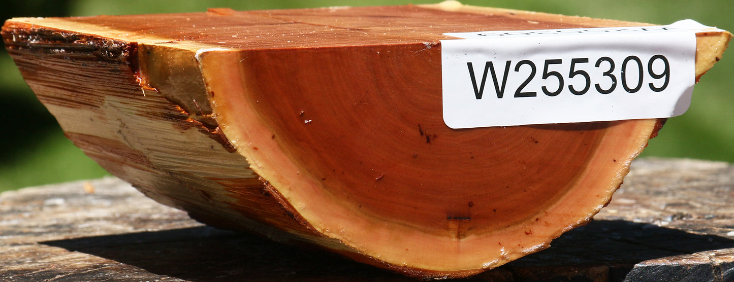 Oregon Ironwood Half Log