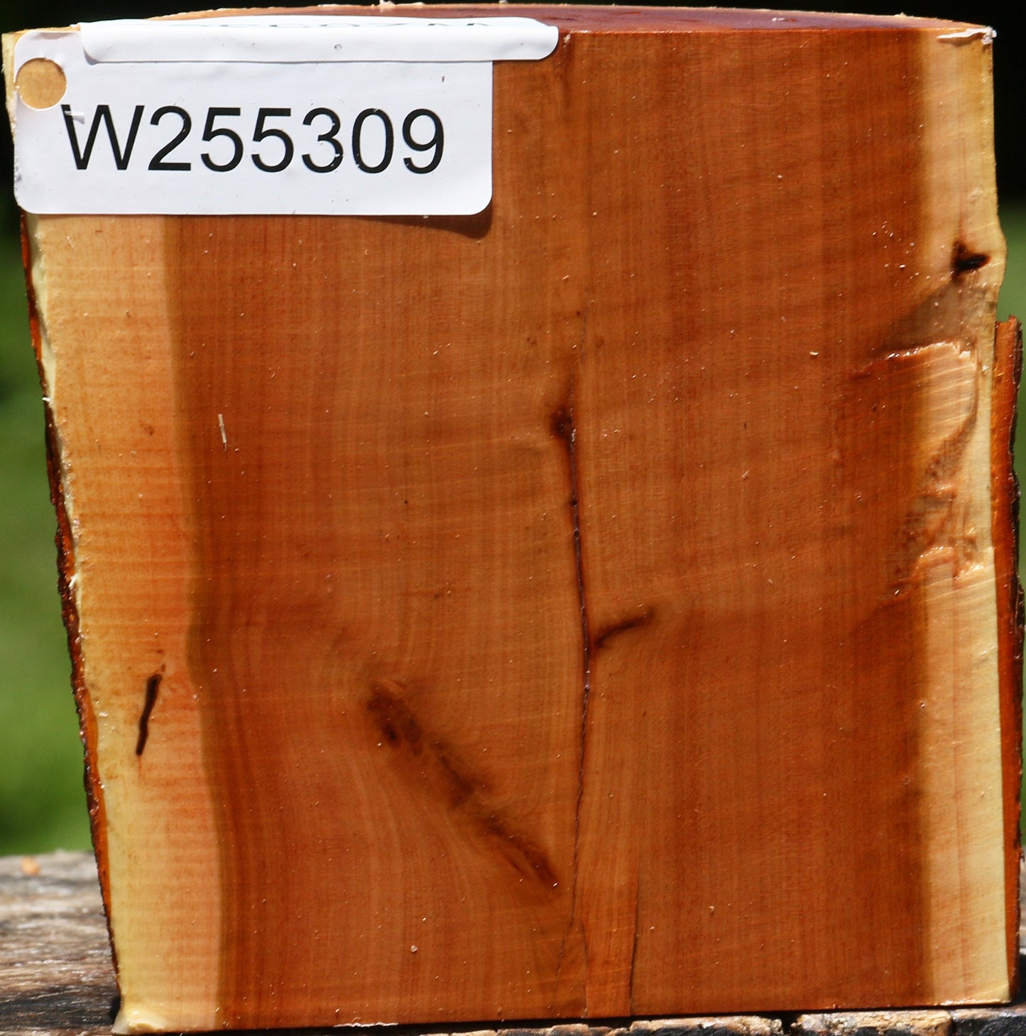 Oregon Ironwood Half Log