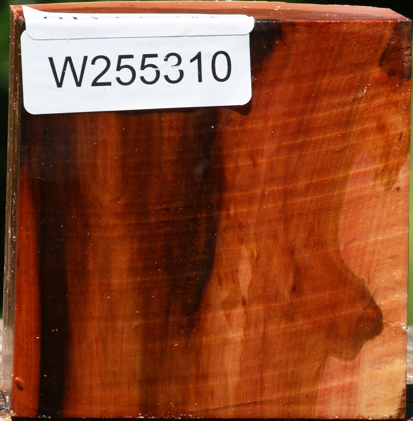 Oregon Ironwood Live Edge Bowl Blank