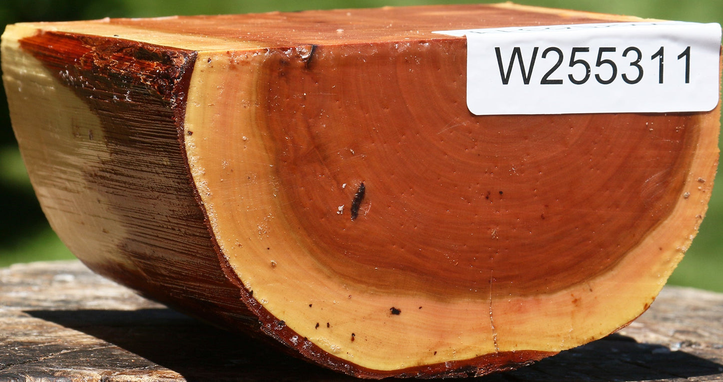 Oregon Ironwood Half Log