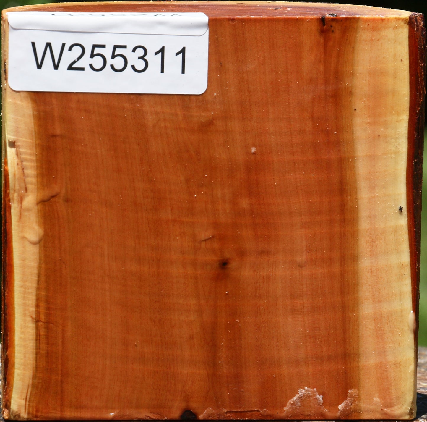 Oregon Ironwood Half Log