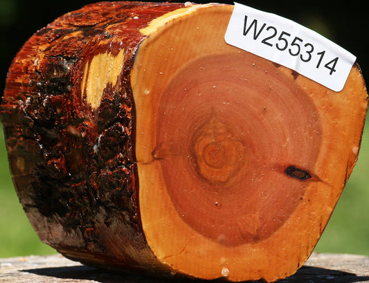 Oregon Ironwood Log