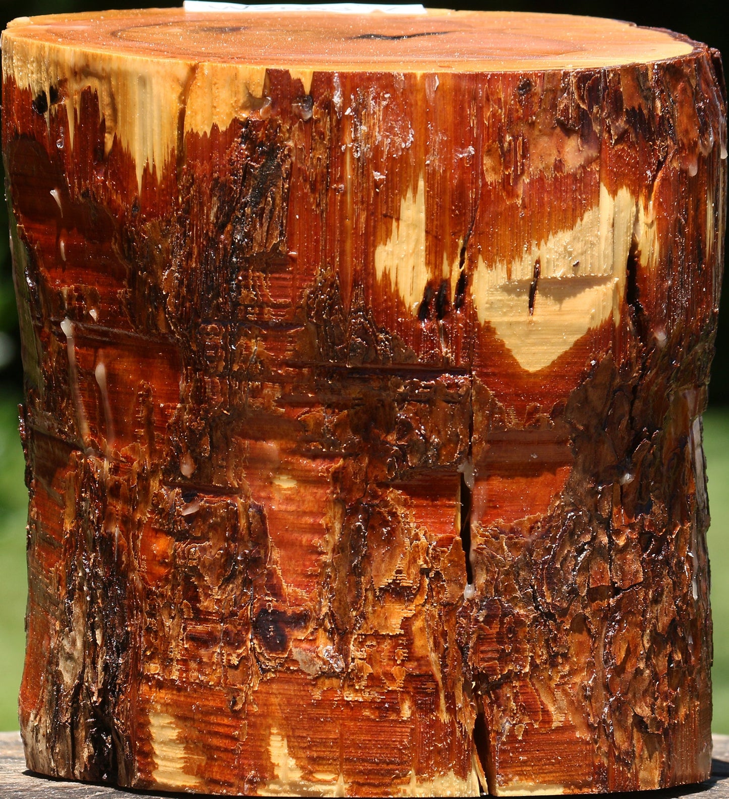 Rustic Oregon Ironwood Log
