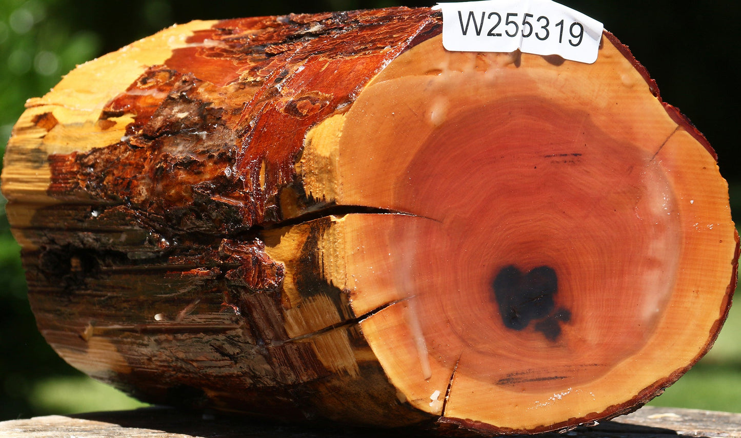 Rustic Oregon Ironwood Log