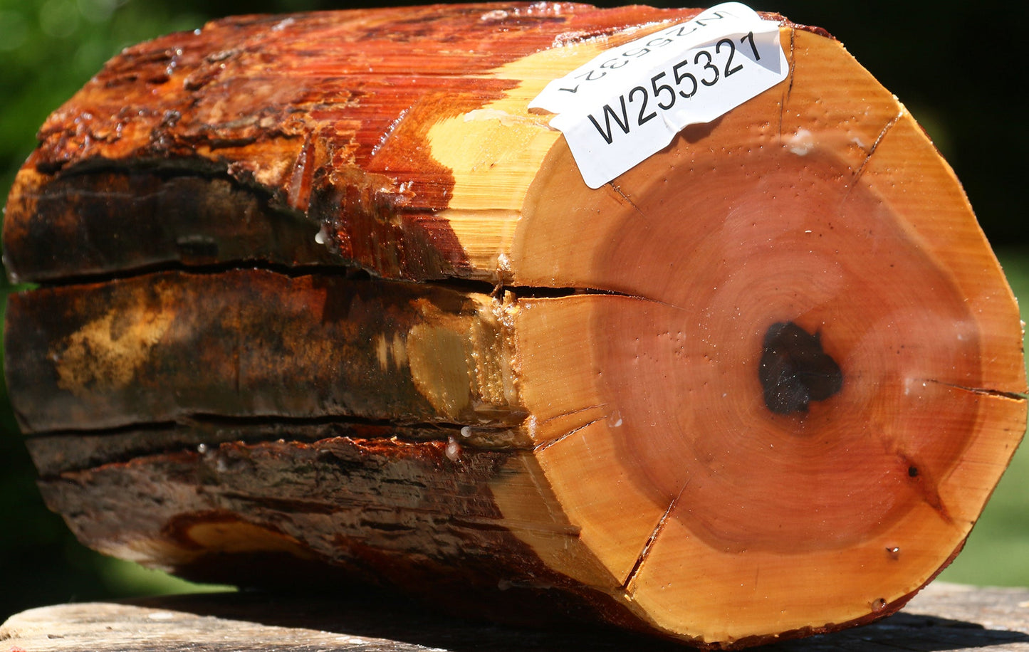 Rustic Oregon Ironwood Log