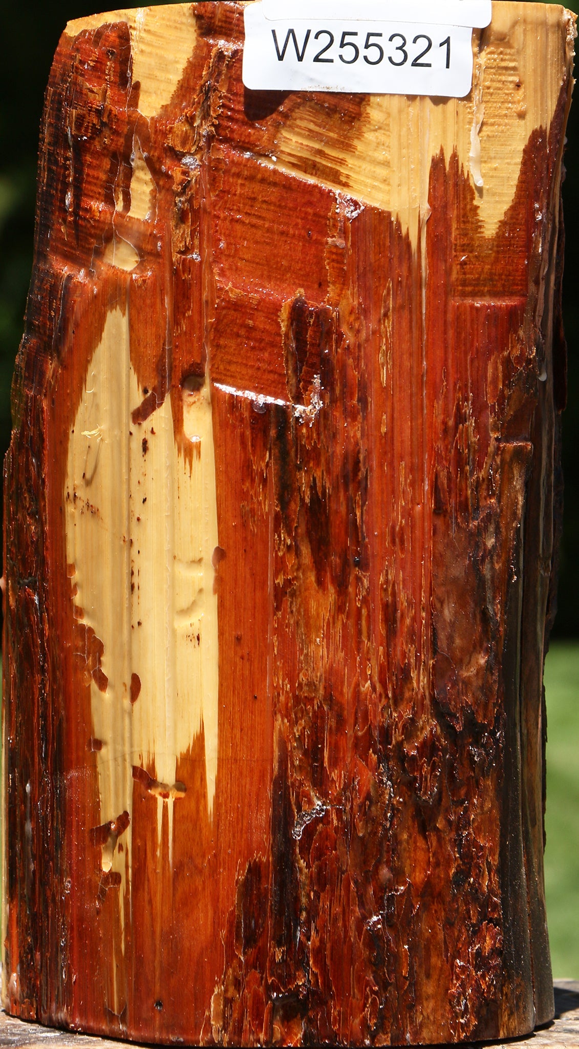 Rustic Oregon Ironwood Log