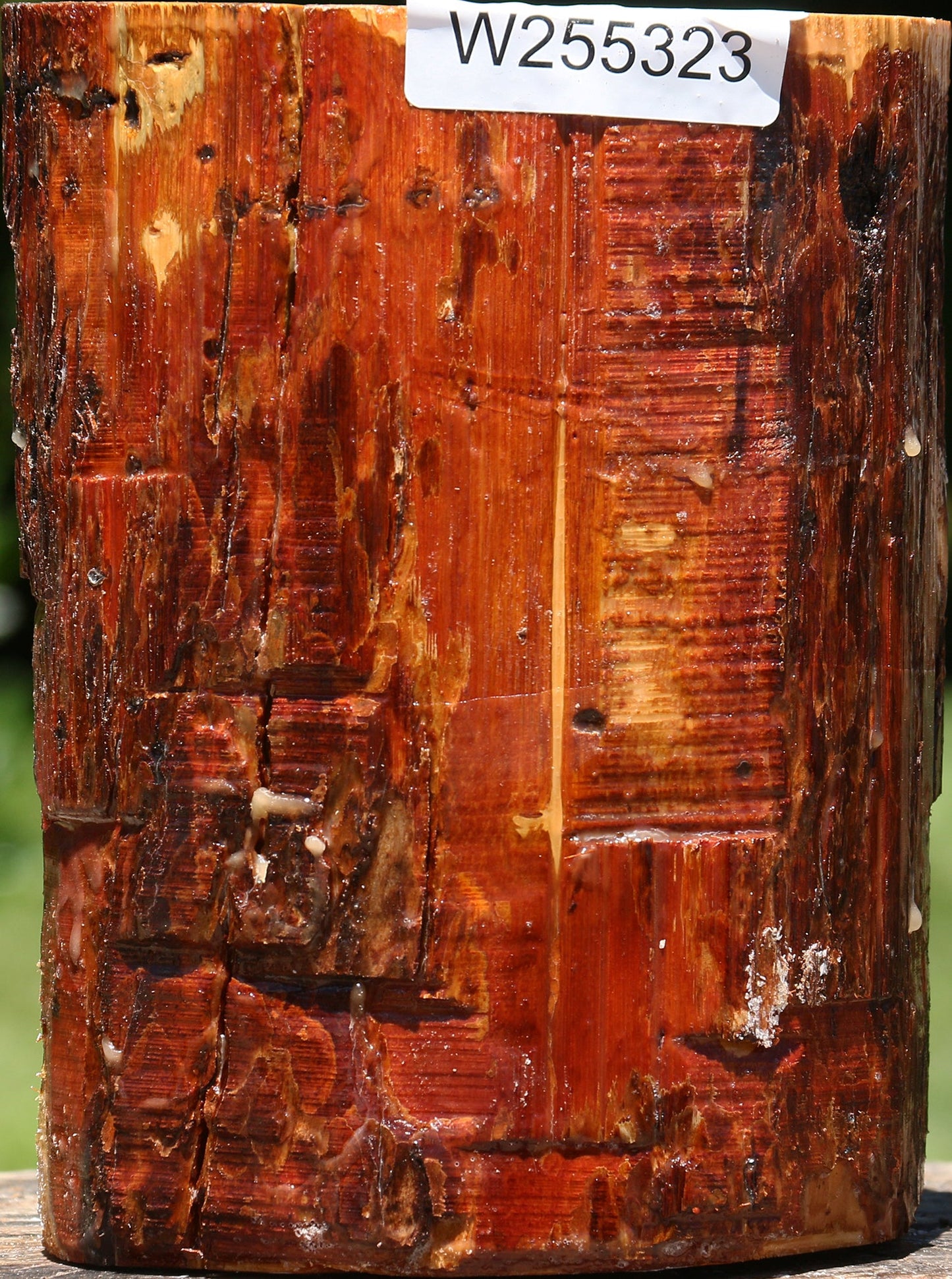 Rustic Oregon Ironwood Log