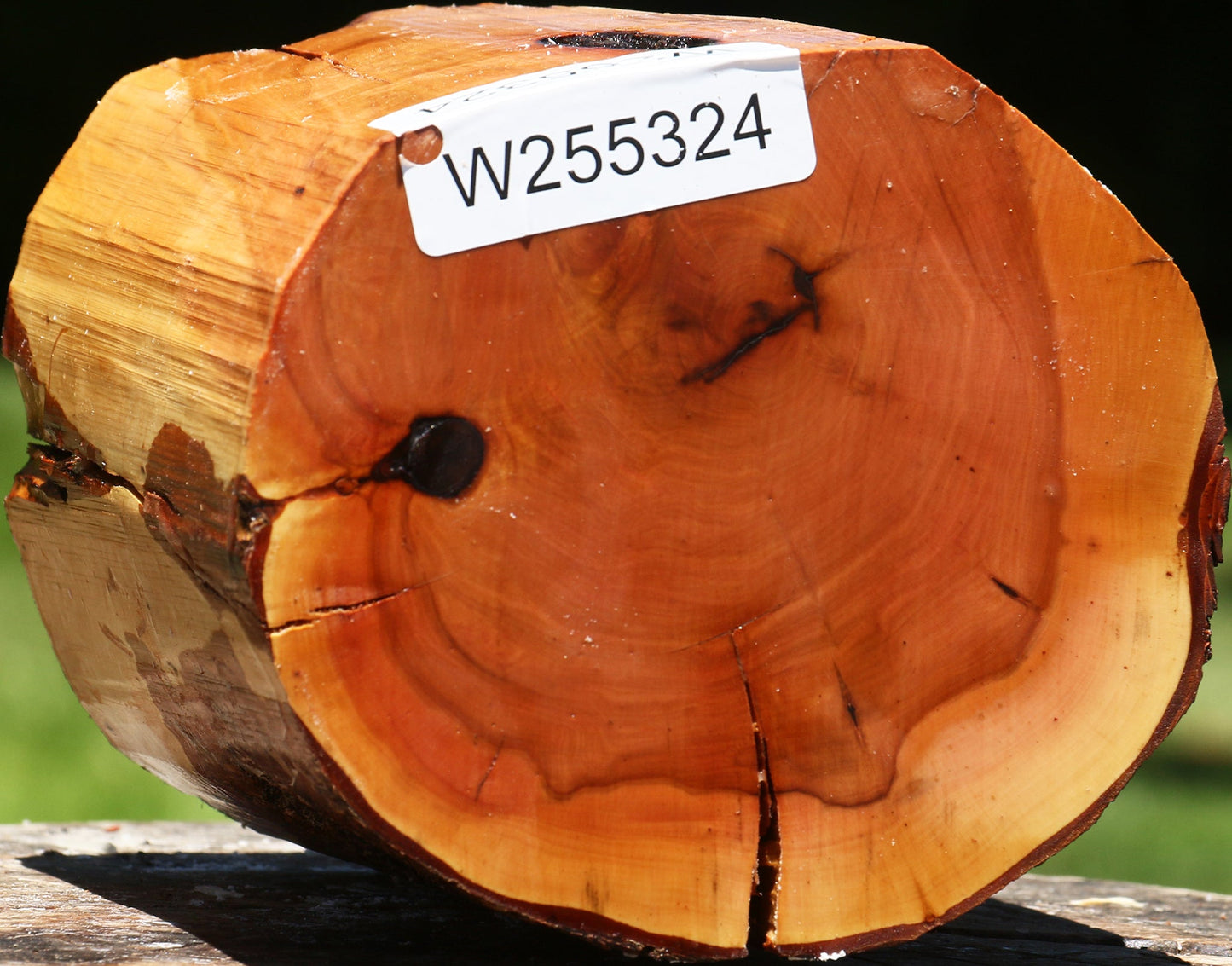 Rustic Oregon Ironwood Log