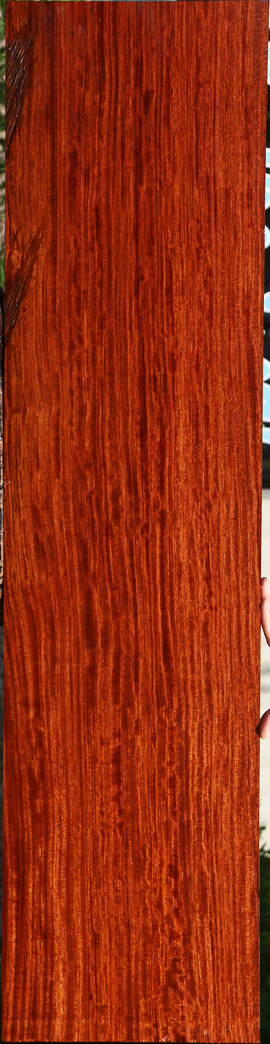 Figured Quartersawn Bubinga Lumber