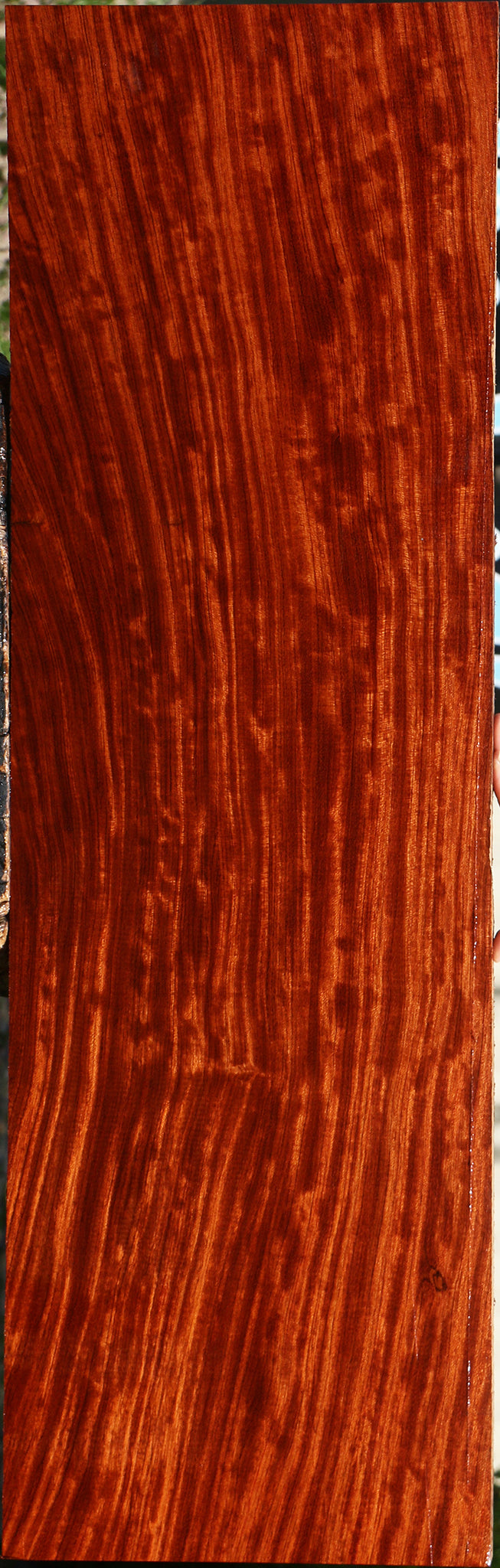 Bubinga Lumber