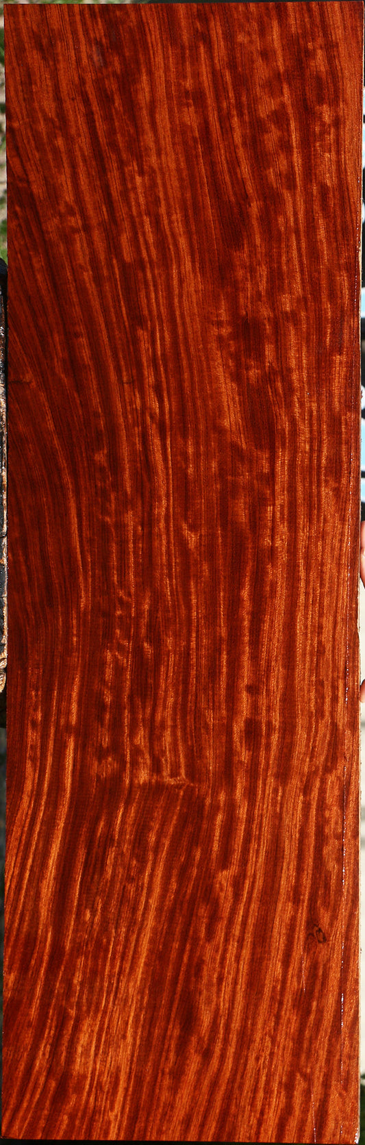 Bubinga Lumber