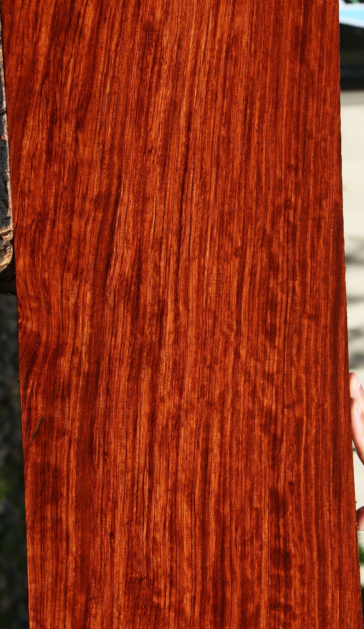 Bubinga Lumber