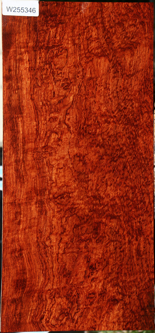 Exhibition Pomelle Bubinga Instrument Lumber