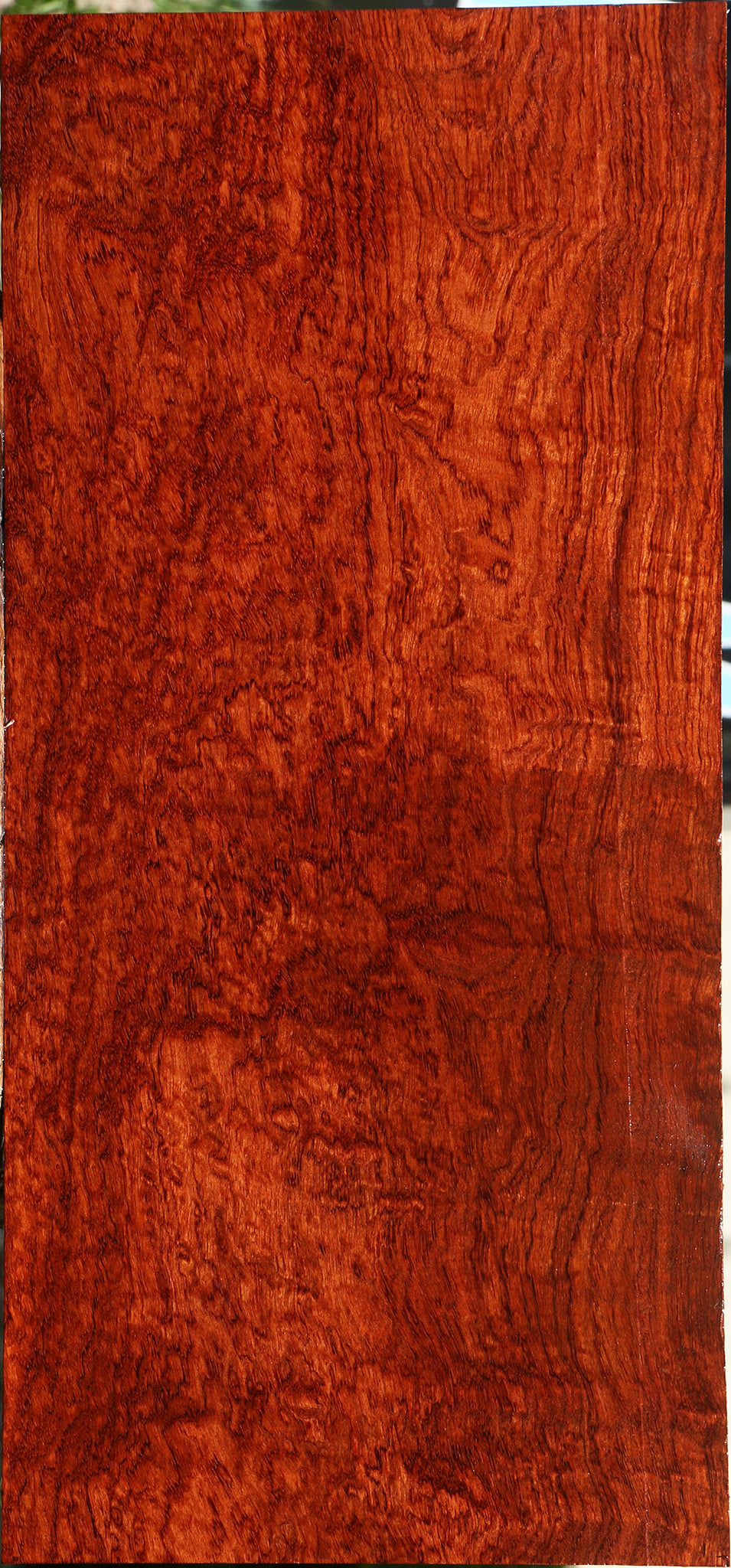 Exhibition Pomelle Bubinga Instrument Lumber
