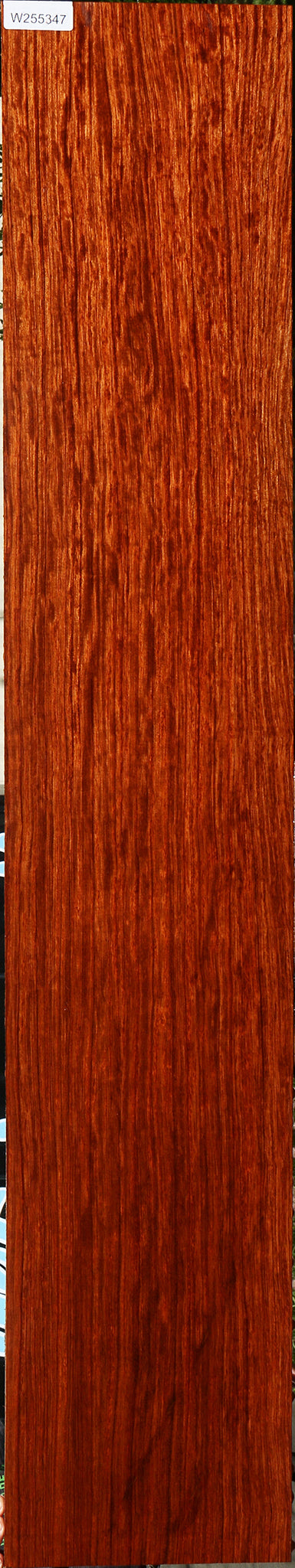 Extra Fancy Quartersawn Bubinga Instrument Lumber