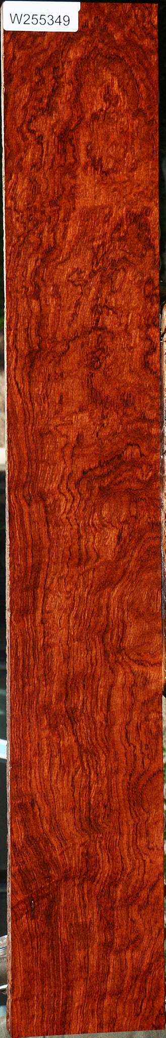 Extra Fancy Bubinga Lumber