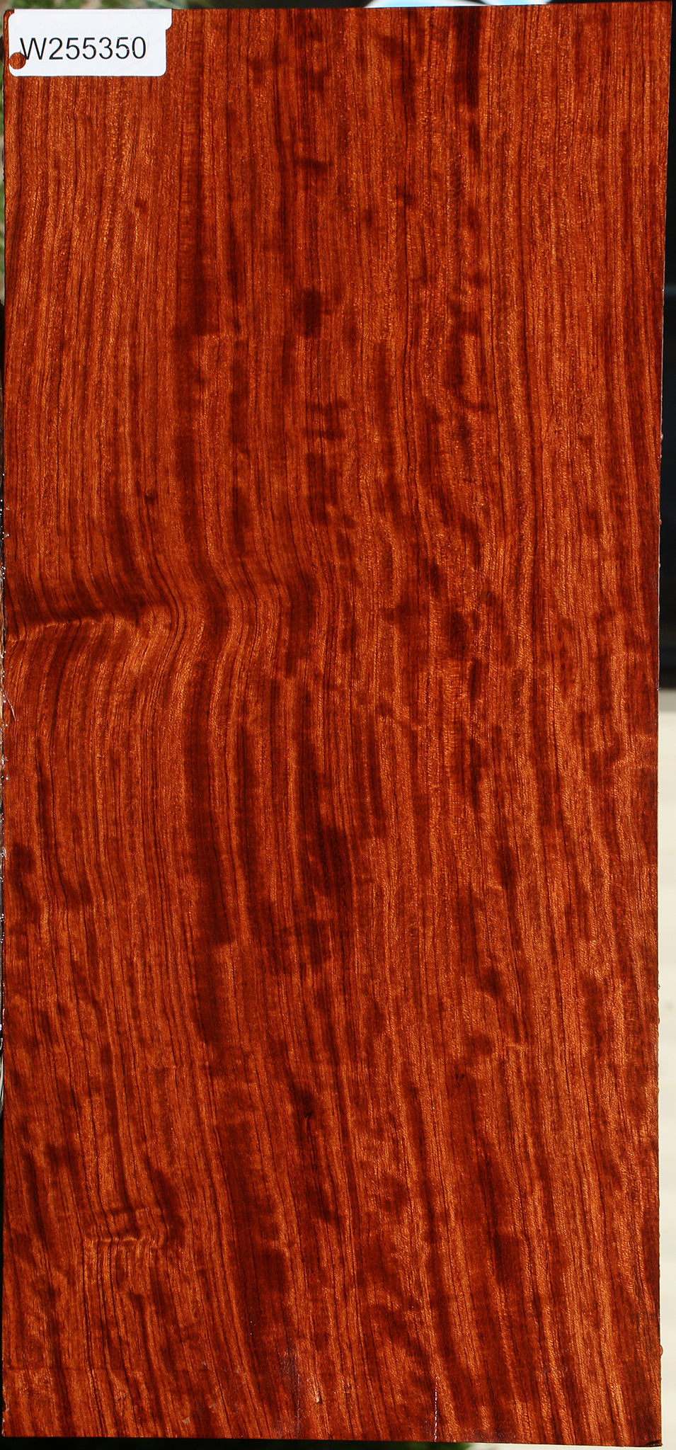 Figured Bubinga Instrument Lumber