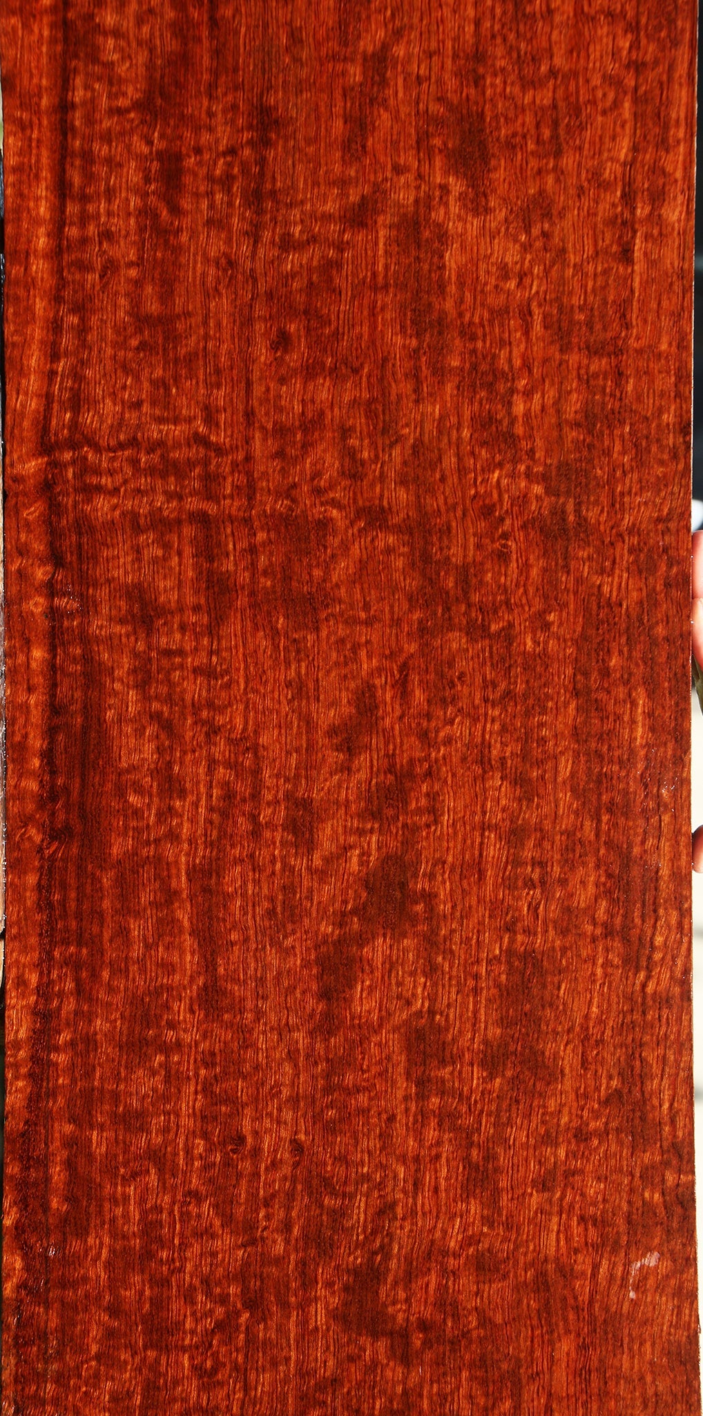 Extra Fancy Bubinga Lumber