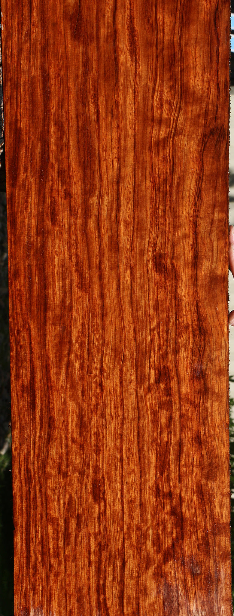 Extra Fancy Bubinga Lumber