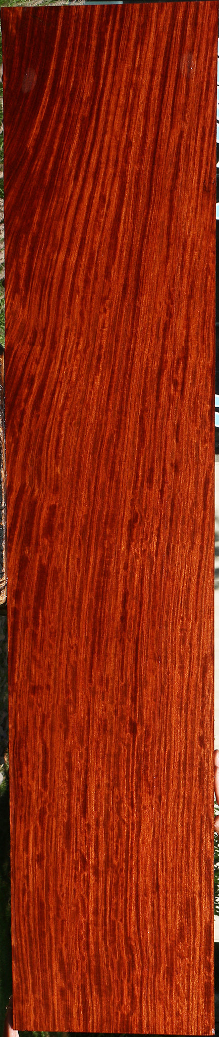 Extra Fancy Quartersawn Bubinga Instrument Lumber