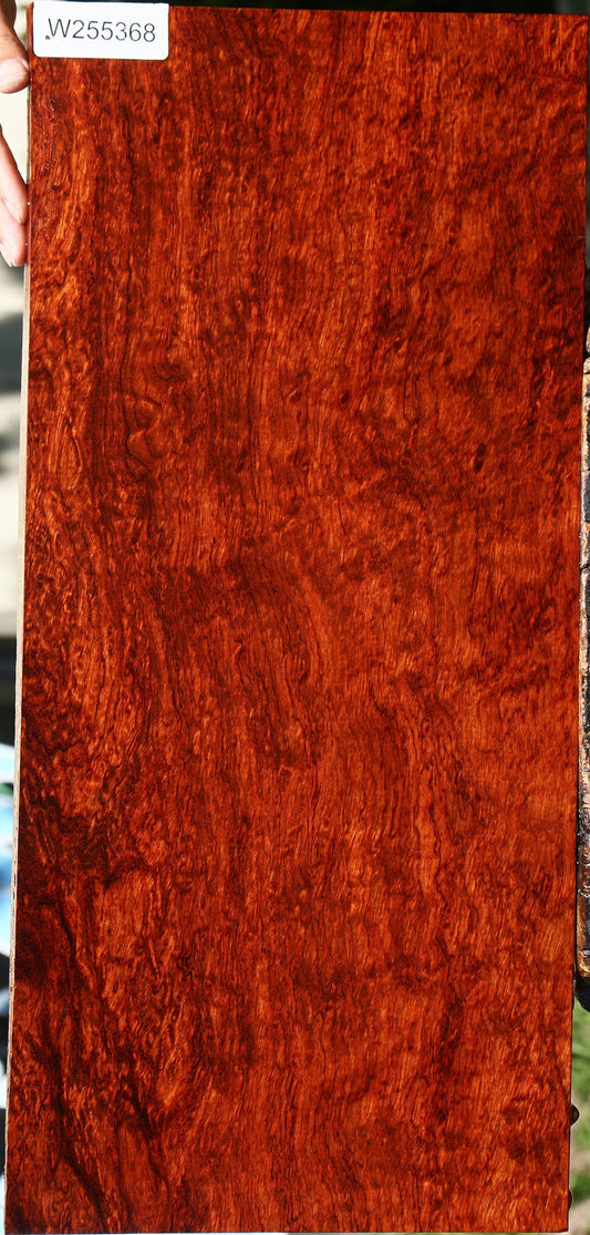 Exhibition Bubinga Electric Guitar Drop Top Billet