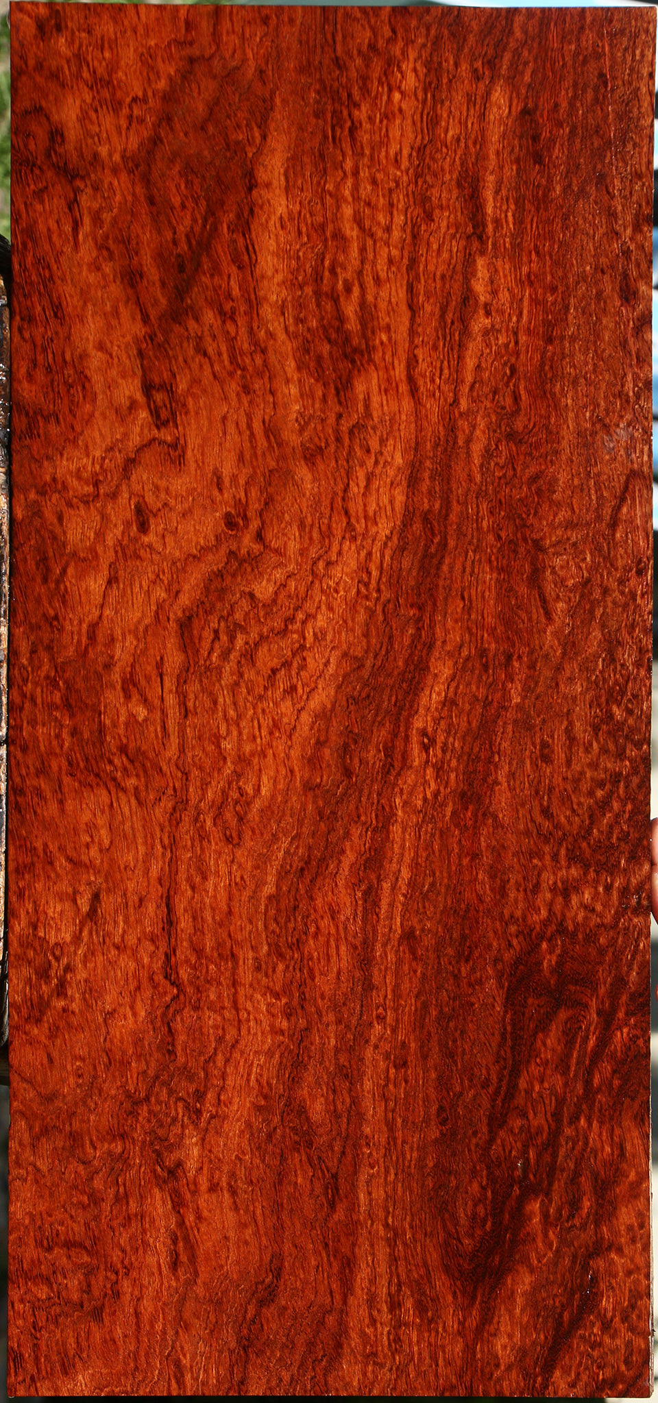 Exhibition Bubinga Electric Guitar Drop Top Billet
