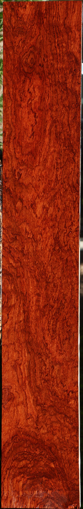 Exhibition Pomelle Bubinga Instrument Lumber