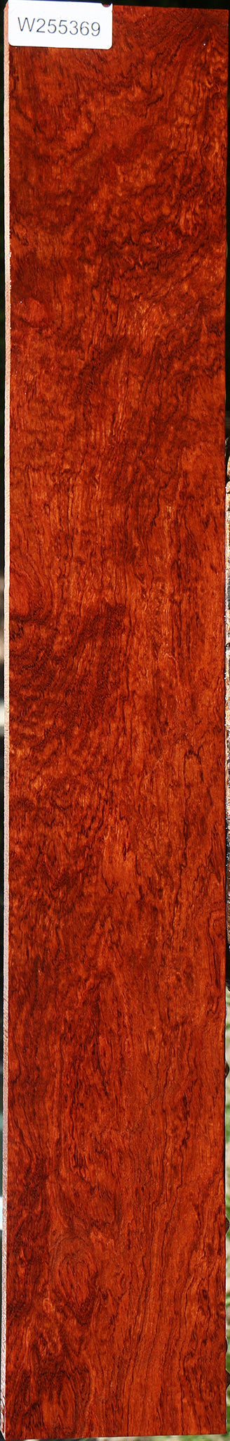 Exhibition Pomelle Bubinga Instrument Lumber